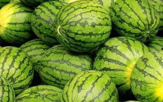 每日大赛吃瓜黑料每日大赛,揭秘赛场背后的吃瓜黑料风云