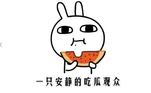 快手网红黑料吃瓜网,吃瓜网带你探秘网络红人幕后真相